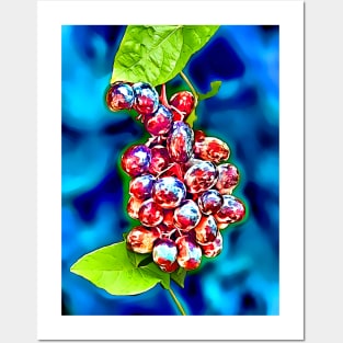 Grapes Posters and Art